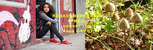 соль ск Богданович