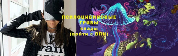 кокс Богородицк